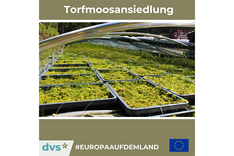 #EuropaAufDemLand: Torfmoosansiedlung für biologische Vielfalt