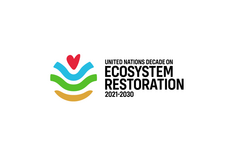 Projektwettbewerb zur UN-Dekade für Ökosysteme