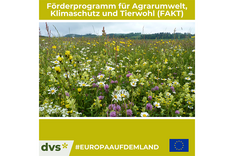 #EuropaAufDemLand: Artenreiche Ackerflächen